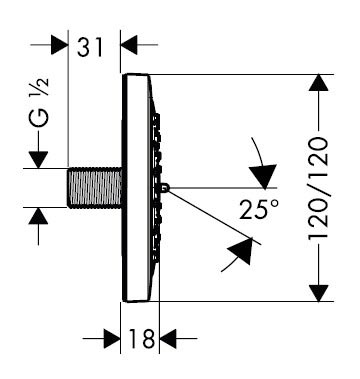 Душевая форсунка Hansgrohe PuraVida 28430000