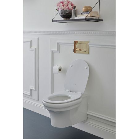 Унитаз подвесной Jacob Delafon Cleo EDZ102-0