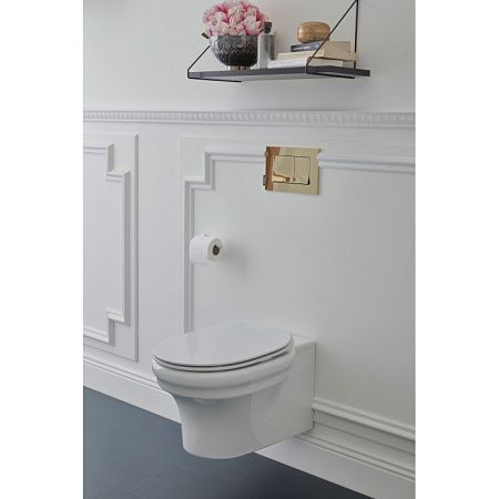 Унитаз подвесной Jacob Delafon Cleo EDZ102-0