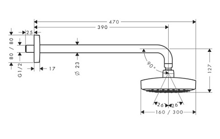 Верхний душ Hansgrohe Raindance Select 27385000