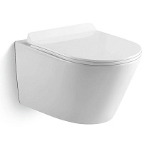 Унитаз подвесной Black & White Universe W703 безободковый