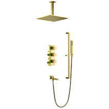 Душевой комплект Timo Selene SX-2239/17SM золото матовое