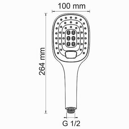 Душевая лейка WasserKRAFT A062