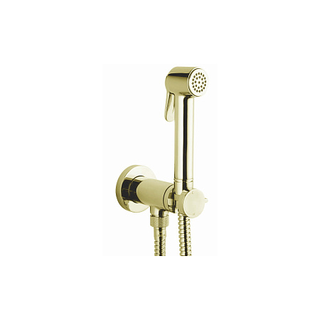 Гигиенический душ со смесителем Bossini Paloma Brass E37005B.021 золото