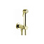 Гигиенический душ со смесителем Bossini Paloma Brass E37005B.021 золото