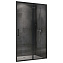 Душевая дверь ABBER Schwarzer Diamant AG30110B5 110x190 прозрачное/черный
