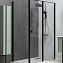 Душевой уголок Allen Brau Priority 3.31030.BBA + 3.31048.BBA 100x100 черный браш - фото 1