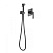 Гигиенический душ со смесителем Timo Torne 4389/03SM черный