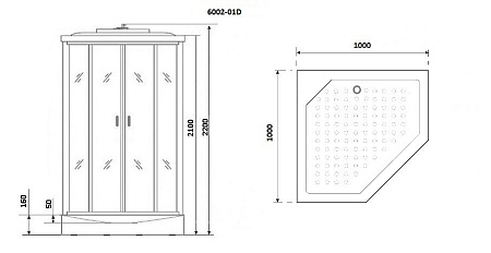 Душевая кабина Niagara Premium NG-6002-01D 100x100x220 стекло прозрачное/профиль хром