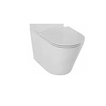 Чаша для унитаза-компакта Jacob Delafon Rodin+ UJAB102-00 Чаша для унитаза-компакта Jacob Delafon Rodin+ UJAB102-00