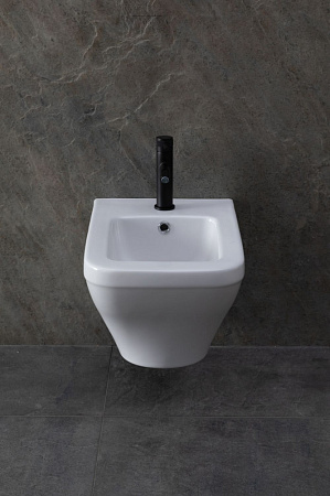 Биде подвесное Allen Brau Infinity 4.21014.20 белый