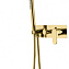 Душевой комплект Boheme Spectre 454-G для душа, золото - фото 1