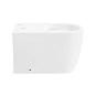 Чаша для унитаза-компакта BelBagno Marino BB105CPR безободковая