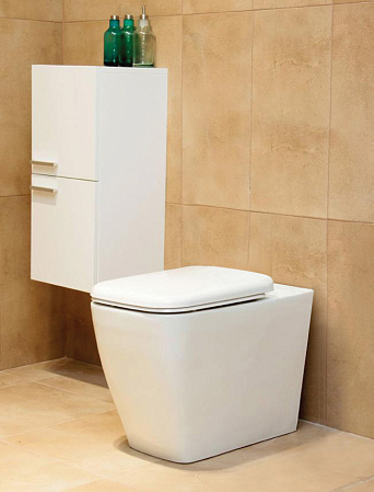 Чаша для унитаза приставного BelBagno Ebbrezza BB2335RH