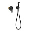 Гигиенический душ со смесителем Timo Anni 2789/03SM черный