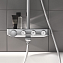 Душевая стойка Grohe Euphoria 26510000 с термостатом - фото 4