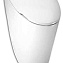 Писсуар Jacob Delafon Presqu'ile E1161-00 с крышкой - фото 2