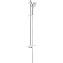 Душевой гарнитур Grohe Euphoria 110 Duo 27225001