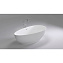 Акриловая ванна Black & White Swan SB106 180х90