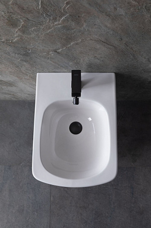 Биде подвесное Allen Brau Liberty 4.33005.20 белый