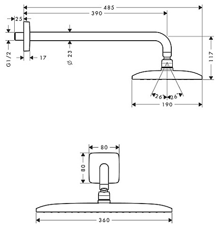 Верхний душ Hansgrohe Raindance 27376000 хром