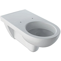 Чаша для унитаза подвесного Geberit Selnova 500.262.01.1