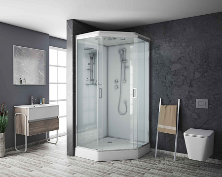 Душевая кабина Niagara Premium NG-6002-01D 100x100x220 стекло прозрачное/профиль хром