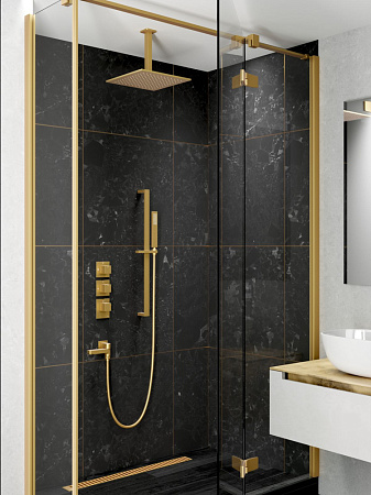 Душевой комплект Timo Selene SX-2239/17SM золото матовое