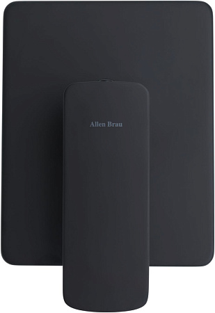 Смеситель Allen Brau Infinity 5.21015-31 для душа, черный