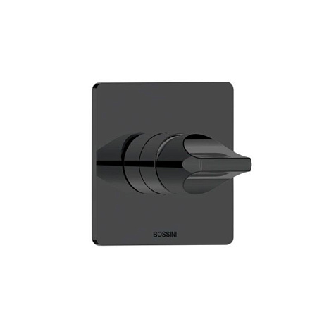 Смеситель Bossini Apice Z00504.073 для душа, черный матовый