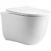 Унитаз подвесной Aquatek Классик AQ1112-00 с сидением Soft Close