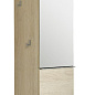 Шкаф Jacob Delafon Odeon Up EB893G-NR 35 L, темный дуб
