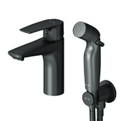 Смеситель с гигиеническим душем Am.Pm GEM F90A03022 для раковины, черный