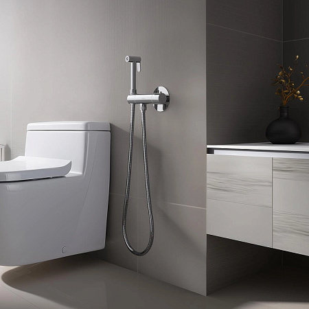Гигиенический душ со смесителем Aquatek Оберон AQ1027CR хром