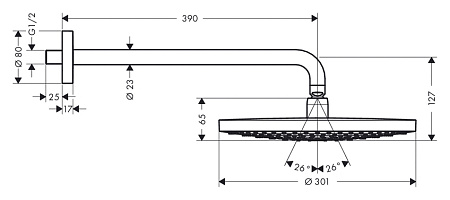 Верхний душ Hansgrohe Raindance Select 27378400 белый/хром