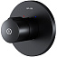 Смеситель Am.Pm X-Joy S F85A65722 для душа черный