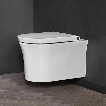 Чаша для унитаза подвесного Duravit White Tulip 2576092000