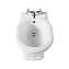 Биде подвесное BelBagno Boheme BB115BH - фото 3