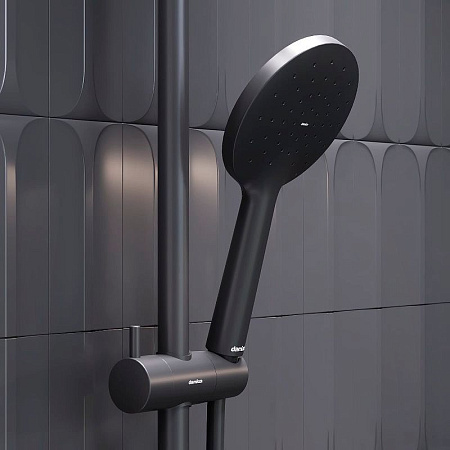 Душевая лейка Damixa Jupiter 977020300 черный
