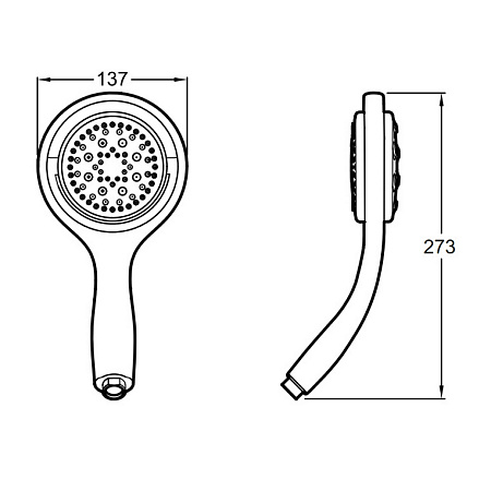 Душевая лейка Jacob Delafon Flipside E17493-CP