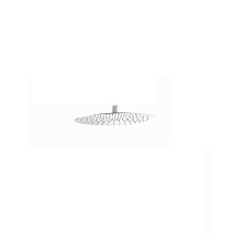 Верхний душ Boheme Uno 422-MW белый матовый