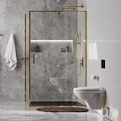 Душевой уголок WasserKRAFT Aisch 55P 55P17 100x80 золото матовое