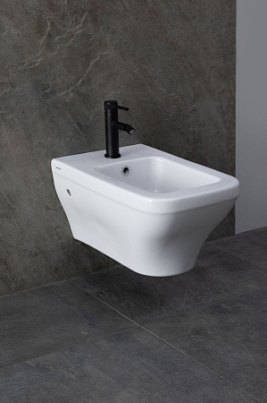 Биде подвесное Allen Brau Infinity 4.21014.20 белый