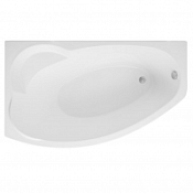 Акриловая ванна Aquanet Sofia 00204039 170х100 L Акриловая ванна Aquanet Sofia 00204039 170х100 L