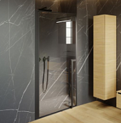 Душевая дверь в нишу Riho Lucid  GD101 G005003121 100x200 черный матовый