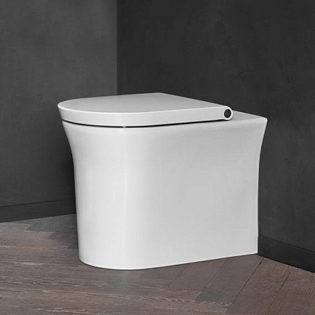 Чаша для унитаза приставного Duravit White Tulip 2001090000