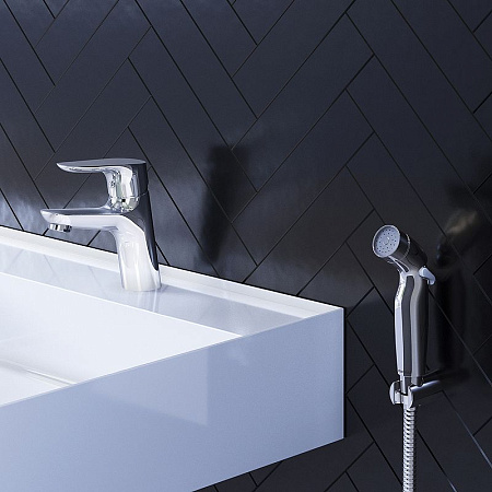 Смеситель с гигиеническим душем Damixa Jupiter 770300001 для раковины, хром