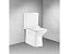 Унитаз-компакт BelBagno Romano   BB248CPR-P горизонтальный выпуск