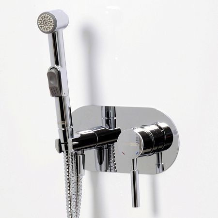 Гигиенический душ со смесителем WasserKRAFT Main 4138 хром