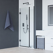 Душевая дверь RGW Hotel HO-012B 350601200-14 100x195 прозрачное/черный